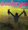 embryo