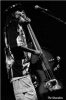 Kronos Quartet + Kad Achouri + The Skatalites - "Boa Onda Em Música Para As Multidões" (concertos / festivais) ska