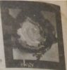 John Zorn - "Elegy" jz