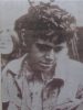 donovan