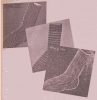 henryCow