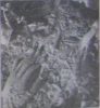 tsinandali