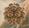 tangerineDream