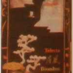 Telectu - "Biombos"